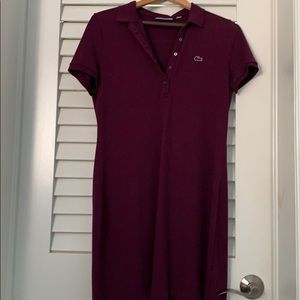 Lacoste aubergine slim fit polo dress